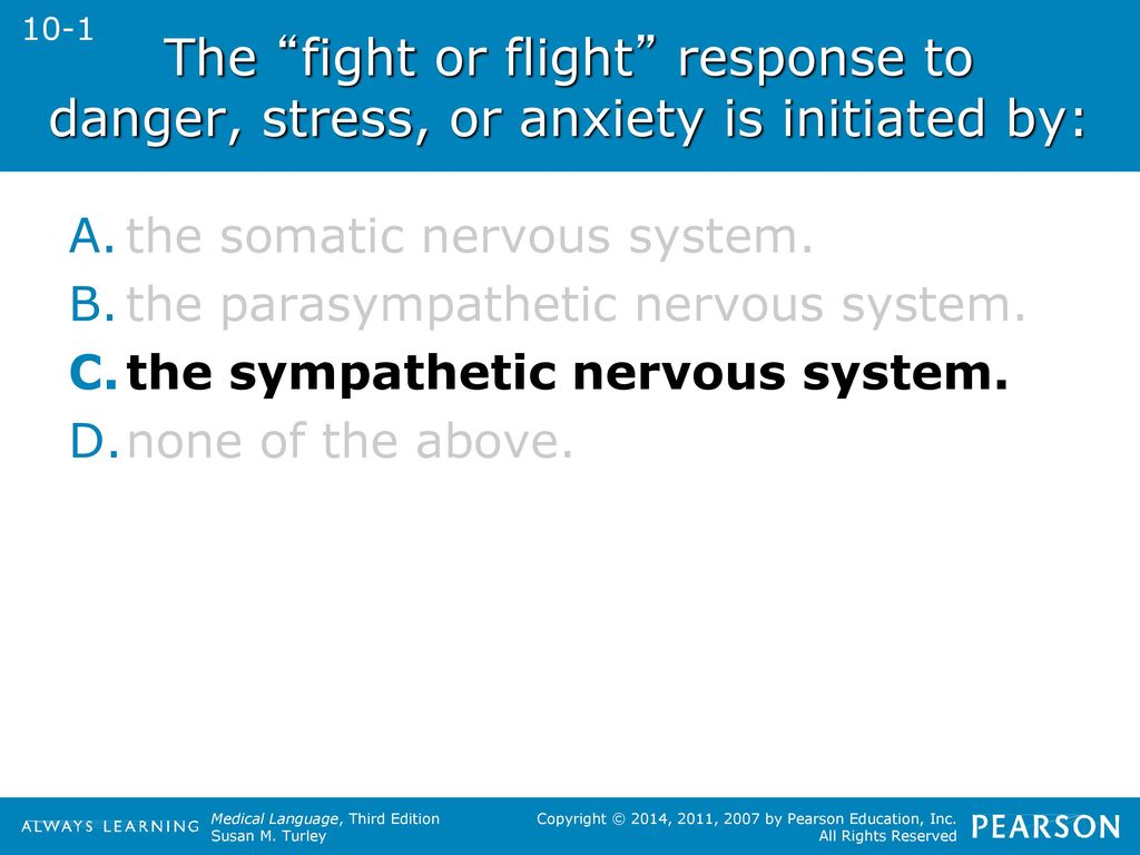Fight or Flight Response to Stress: A Complete Guide